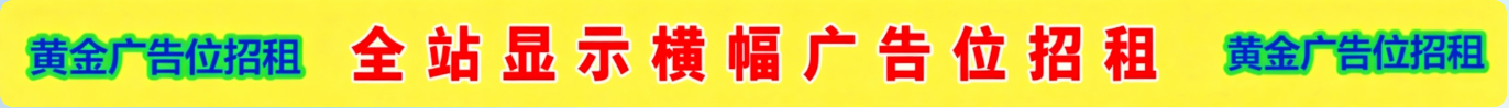 海口龙华区疾晨网络科技工作室